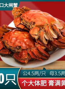 黄河口大闸蟹特大礼盒鲜活