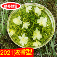 四川茉莉花茶2021新茶非特级浓香型散装茶叶袋装毛尖非2020茶500g