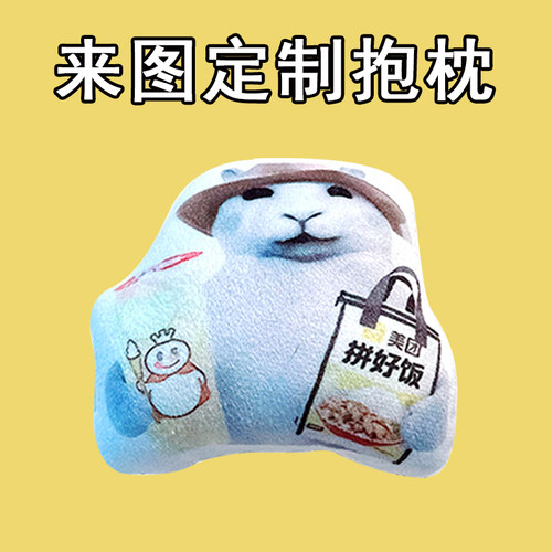 抽象干嘛喵玩偶没经济没建模小猫表情包猫咪周边公仔来图定制抱枕