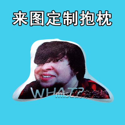 What the fuck表情包公仔万恶之源毛绒玩偶鬼畜周边来图定制抱枕