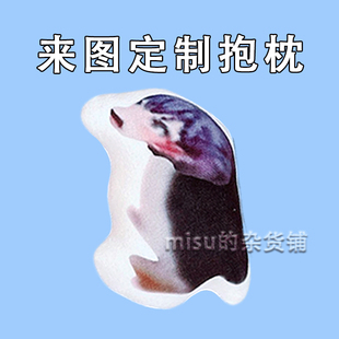 高松灯企鹅搞怪玩偶送闺闺鬼畜恶搞动漫周边毛绒公仔来图定制抱枕