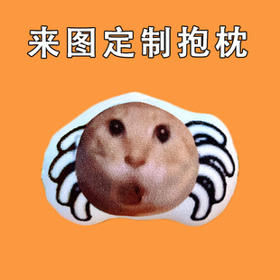蜘蛛耄耋猫咪表情包公仔猫猫meme宠物抽象周边毛绒偶来图定制抱枕