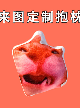awoo cat阿内猫表情包玩偶阿奶猫猫meme周边抱枕来图定制生日礼物