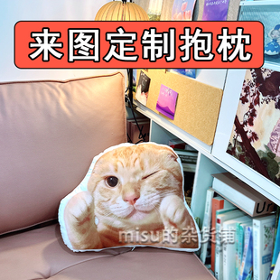 J耄耋wink表情包抽象玩偶萌妹猫咪公仔来图定制动漫毛绒抱枕礼物