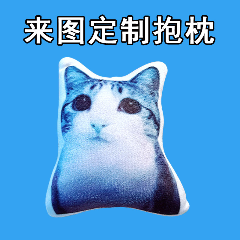 狮子吼猫表情玩偶兄弟我错抽象玩偶meowl猫头鹰猫咪公仔定制抱枕