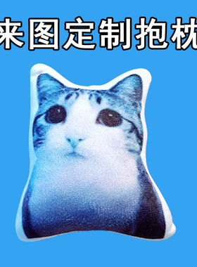 狮子吼猫表情玩偶兄弟我错抽象玩偶meowl猫头鹰猫咪公仔定制抱枕
