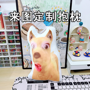 小杰暗区突围抽象玩偶布鲁斯周边整活玩具来图定制毛绒暖手抱枕