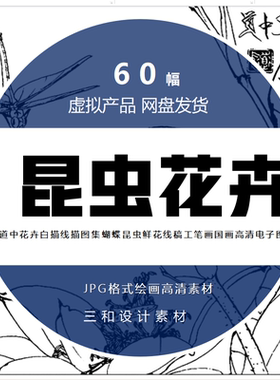 花卉昆虫白描线描图集蝴蝶鲜花线稿王道中工笔画国画高清电子图片