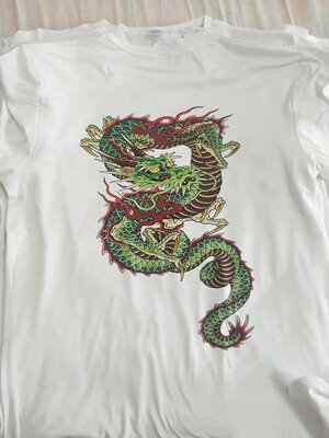 YakuzaShirtTee青龙圆领双面如男