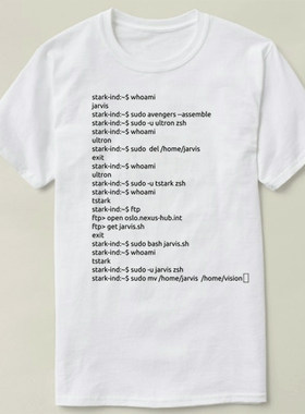 programmerNutshellT-ShirtAoU男