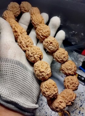 2.9云南野生毒蟾血舍利疙瘩铁核桃手串，爆肉纹路，皮质好油性大