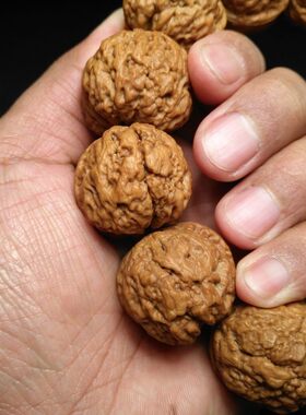 3.3血舍利金蟾疙瘩元宝铁核桃手串手持,爆肉纹路，矮桩平底油性大