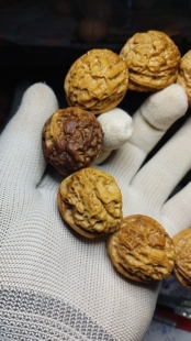 3.1七彩毒瘤舍利金蟾疙瘩铁核桃手串手持,爆肉纹路,皮质好油性大