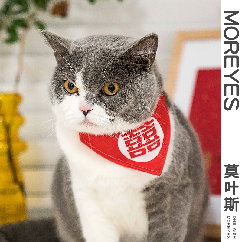 莫叶斯结婚猫咪狗狗喜字口水巾宠物装扮领结围巾围嘴三角巾项圈