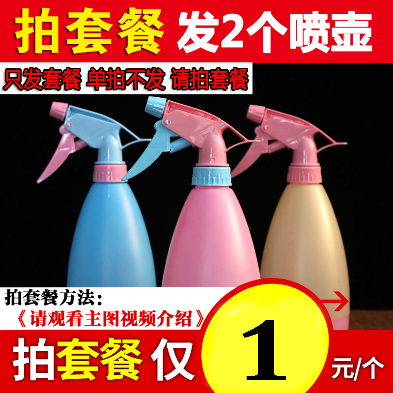 浇花喷壶小喷水壶园艺