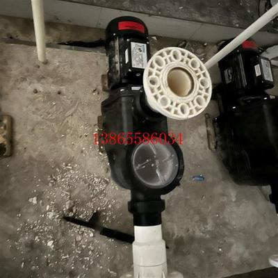 议价游泳池水泵 waterco 澳大利亚进口水泵