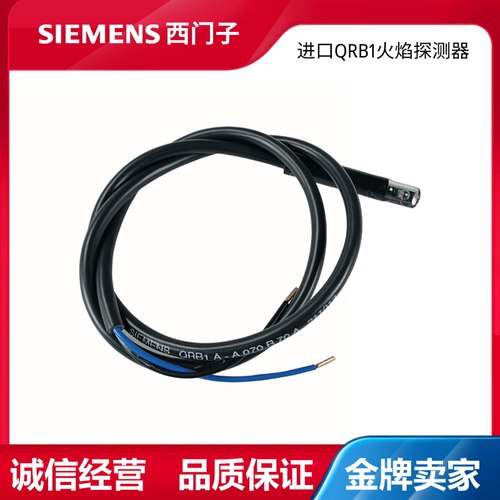 燃烧器锅炉配件电眼QRB1