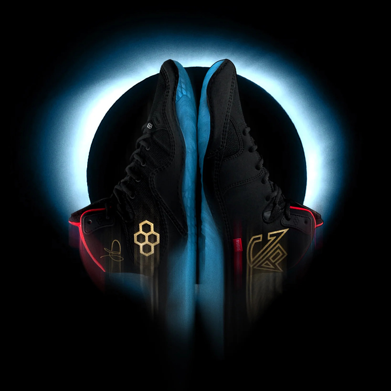 代购RUDIS JB1 Adult巴勒斯专业摔跤鞋举重支撑透气防滑拳击鞋25