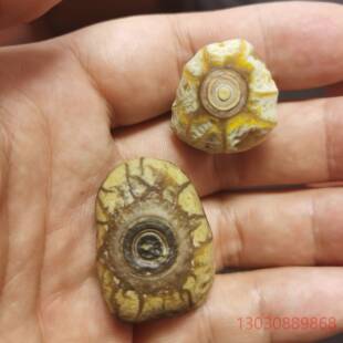 可维修眼睛石和筋脉石共生，盘古天眼和议价