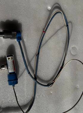 可维修赛默飞GCMS/GCMSMS通用真空规，ISQ Dashbo