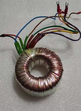 可维修双组15伏100VA欧洲tector双色线牛