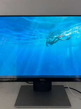 可维修DELL S2316M