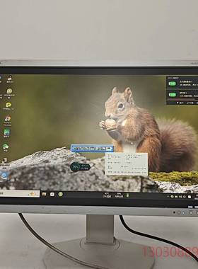 可维修NEC显示器 Multisync P241W，24英寸屏幕，