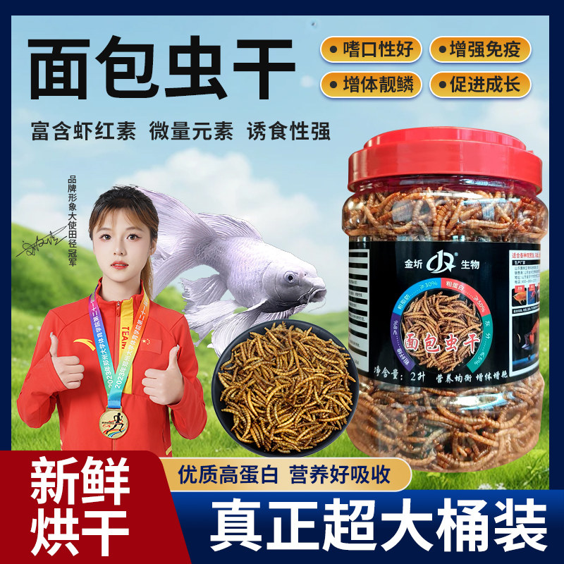 面包虫干锦鲤龙鱼六角恐龙营养高蛋白上浮型观赏鱼饲料乌龟粮通用,宠物/宠物食品及用品,爬虫/鸣虫食物,淘宝优惠券,粉丝福利购,淘宝优惠卷