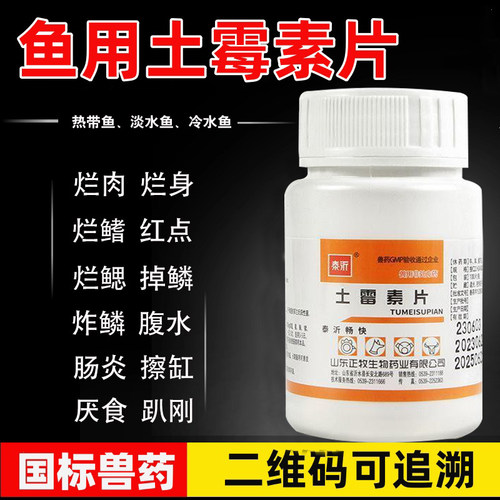 鹦鹉鱼锦鲤鱼病治疗肠炎乌龟药
