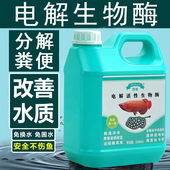 鱼缸电解生物酶分解粪便净化水质去黄水腥臭青苔褐藻绿毛空气缸