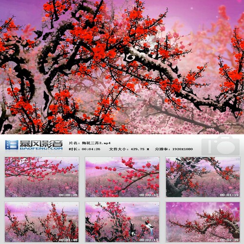 梅花三弄一剪梅LED舞台背景视频成品水墨红梅雪梅腊梅晚会素材