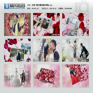 会声会影视频模板大气玫瑰颤动飞舞花瓣雨婚礼婚庆开场