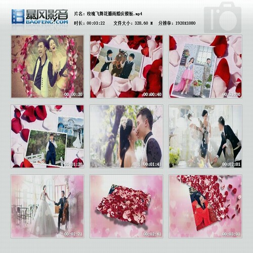 会声会影视频模板大气玫瑰颤动飞舞花瓣雨婚礼婚庆开场