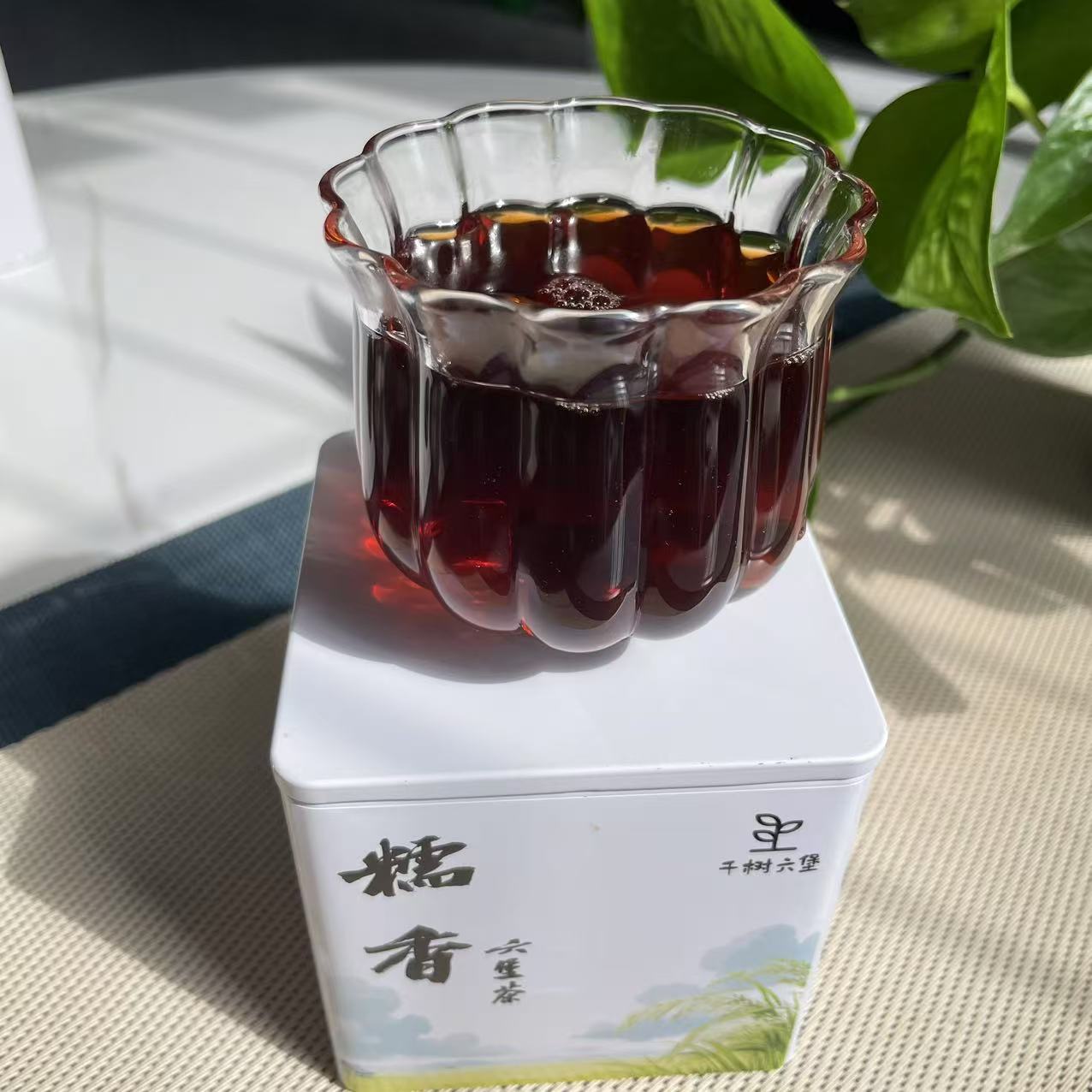 千树六堡茶【糯香】2016年甜醇糯滑窨制新手必拍广西梧州黑茶熟茶