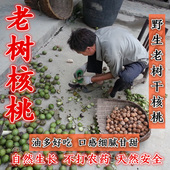 2025年新货核桃 非薄皮纸皮 陕西野生高山老树干核桃原味孕妇坚果