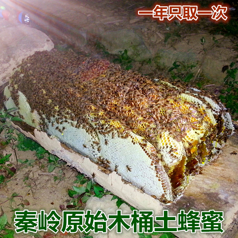 秦岭土蜂蜜纯正天然农家自产结晶百花蜜成熟蜜500g装悬崖野生岩蜜