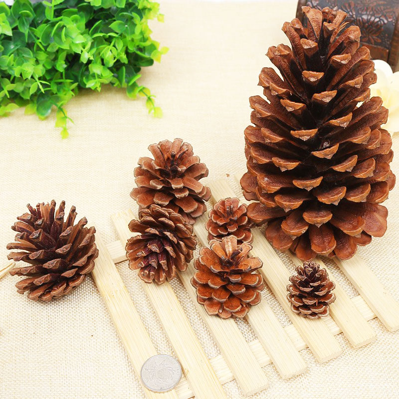 天然松果树枝装饰干花摆件材料包