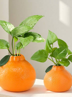 橘子仿真小花瓶摆件客厅插花水培植物鲜花绿萝情绪稳定桌面装饰品