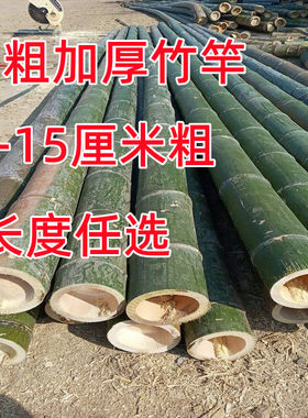 粗竹竿粗竹杆结实耐用