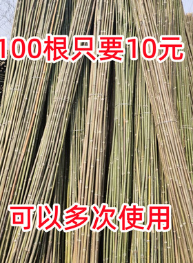 竹竿竹子杆竹杆子菜园搭架竹子旗杆篱笆围栏黄瓜豆角菜架竹竿架