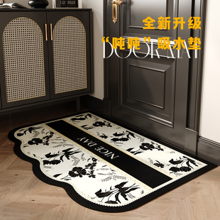 2025新款 入户门地垫免洗可擦轻奢高级感玄关进门口吸水防滑脚垫子