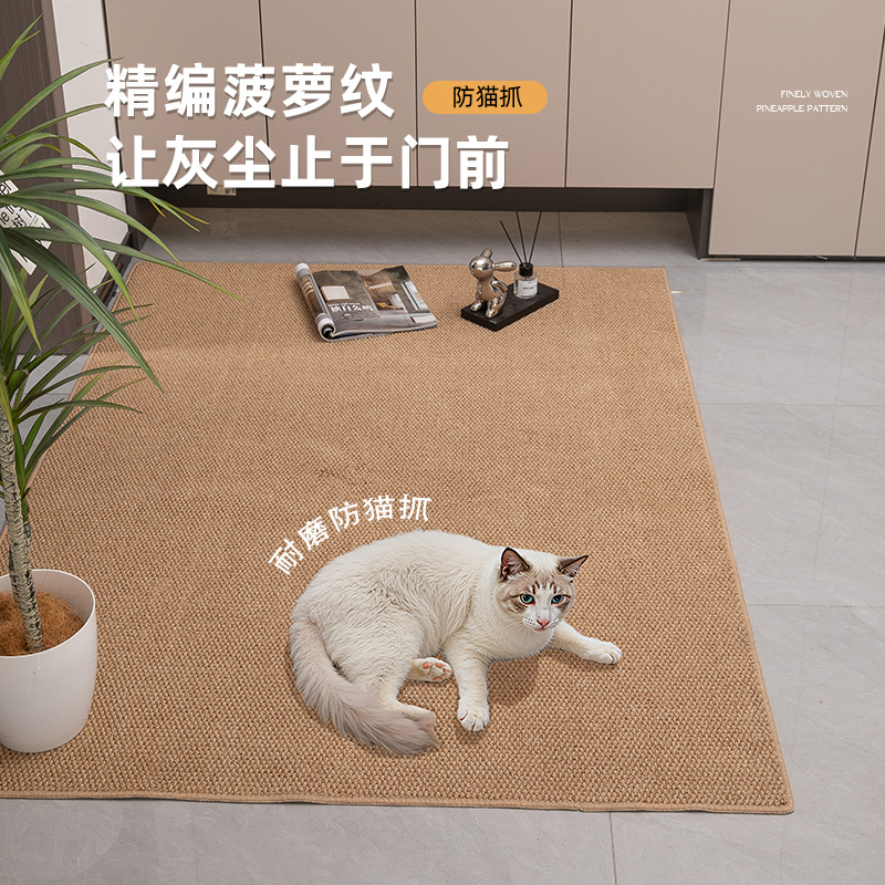 纯色入户门地垫2025新款防滑耐磨地毯门垫进门大门口脚垫可裁剪