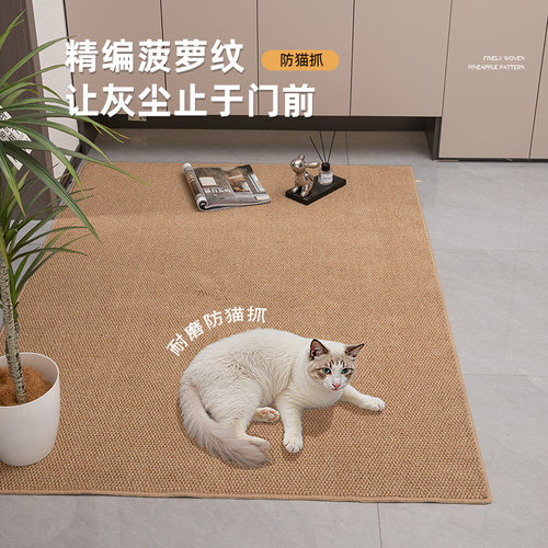 纯色入户门地垫2026新款防滑耐磨地毯门垫进门大门口脚垫可裁剪