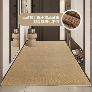 菠萝纹纯色入户门地垫家用大门口耐脏防滑脚垫玄关门外地毯可裁剪