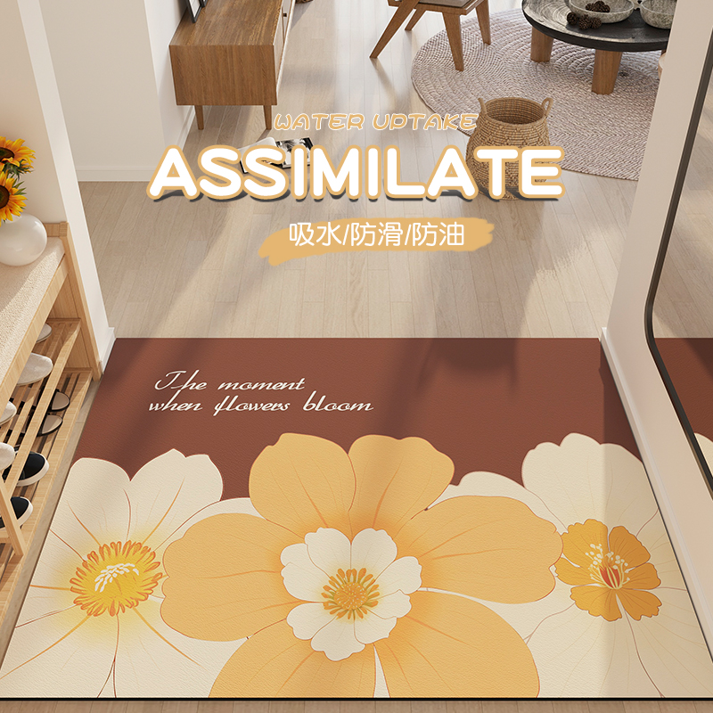 米雷入户门地垫可擦免洗防滑耐脏