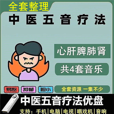 中医音药五音疗愈养生音乐U盘