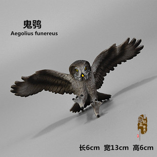 1:6仿真微缩动物模型 座山雕老鹰神雕侠侣大鹏展翅鬼鸮猫头鹰道具