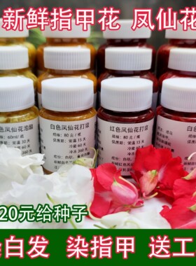 新鲜指甲花凤仙花鲜花包指甲草花鲜花瓣染指甲粉小刀红花红白色花
