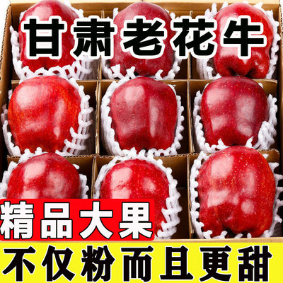 会师农人甘肃会宁花牛苹果