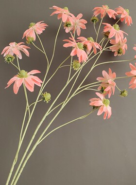 仿真花北欧田园松菊野菊雏菊松果菊家居样板间酒店景观设计装饰花